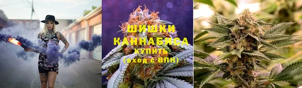 PSILOCYBIN Осинники